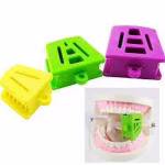 Denmax Mouth Prop Bite Block - Set of 3 with Chain