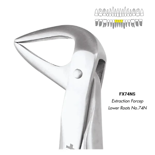 Extraction Forceps Lower Roots No.74N (FX74NS)