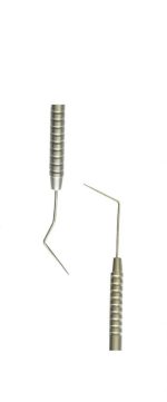 Endo Explorer - Image 2