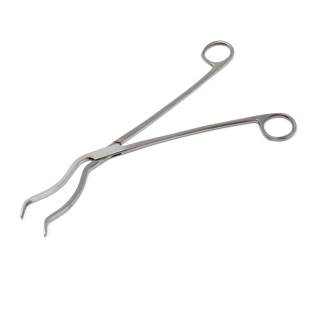 dsadsadsad_1 Cheatle forceps - Image 1