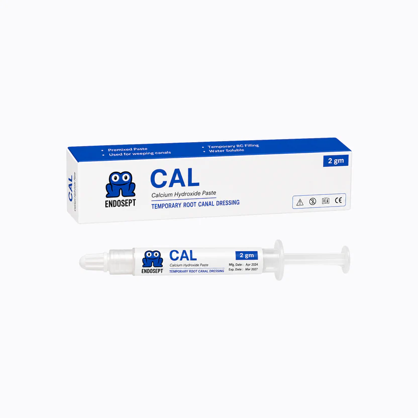 CaOH_Paste Endosept Calcium Hydroxide Paste - Image 1